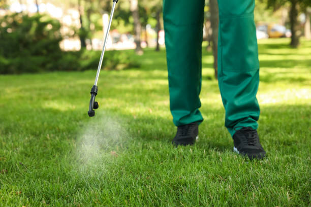 Flea Control Services in Morrisville, NY