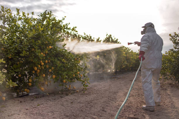 Best Pest Inspection Near Me  in Morrisville, NY